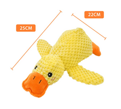 Canard apaisant