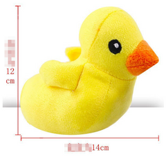 Canard apaisant